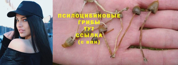 гидропоника Горняк