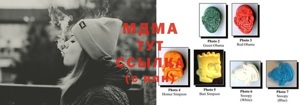 гидропоника Горняк